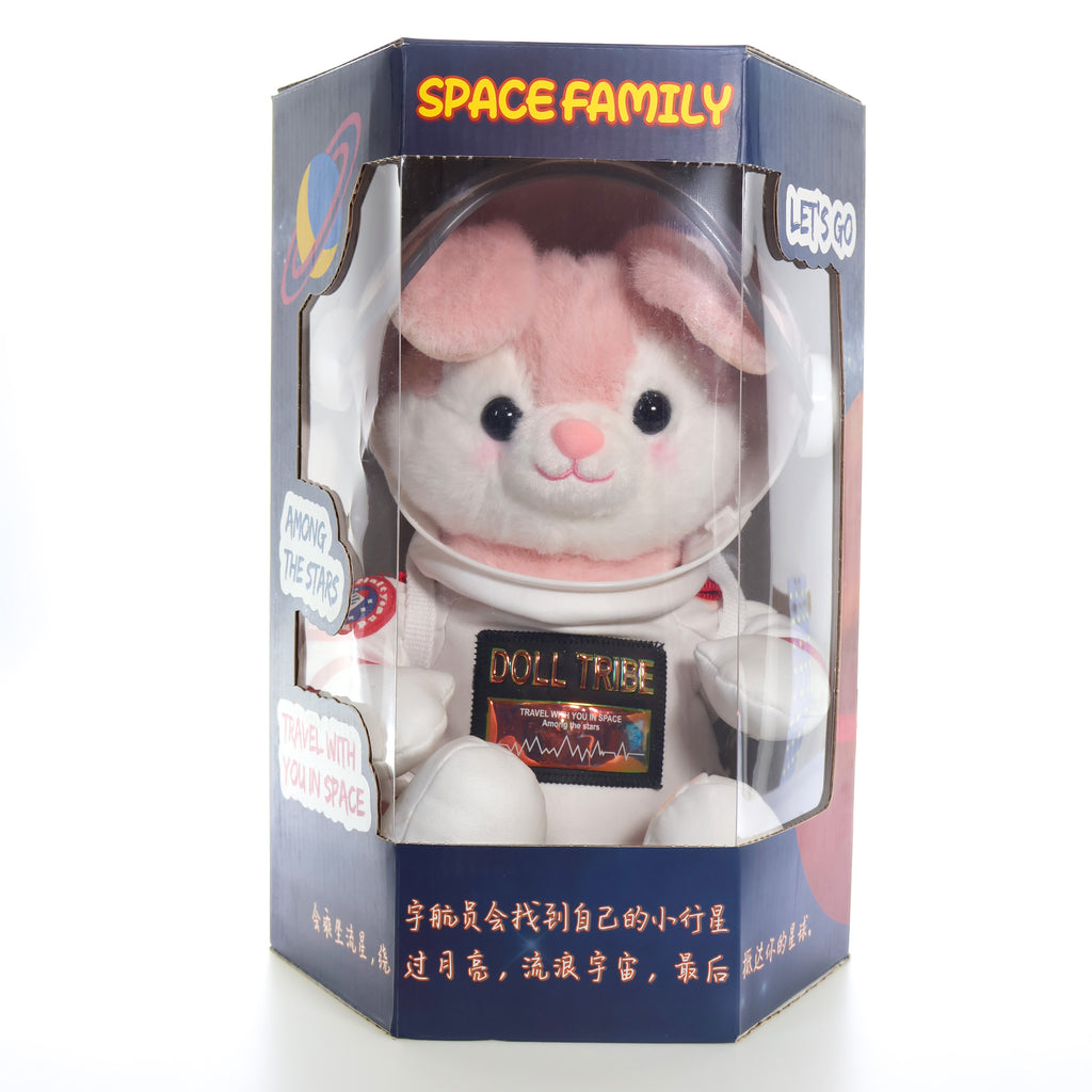 Coelho astronauta na caixa Space Family, vista frontal