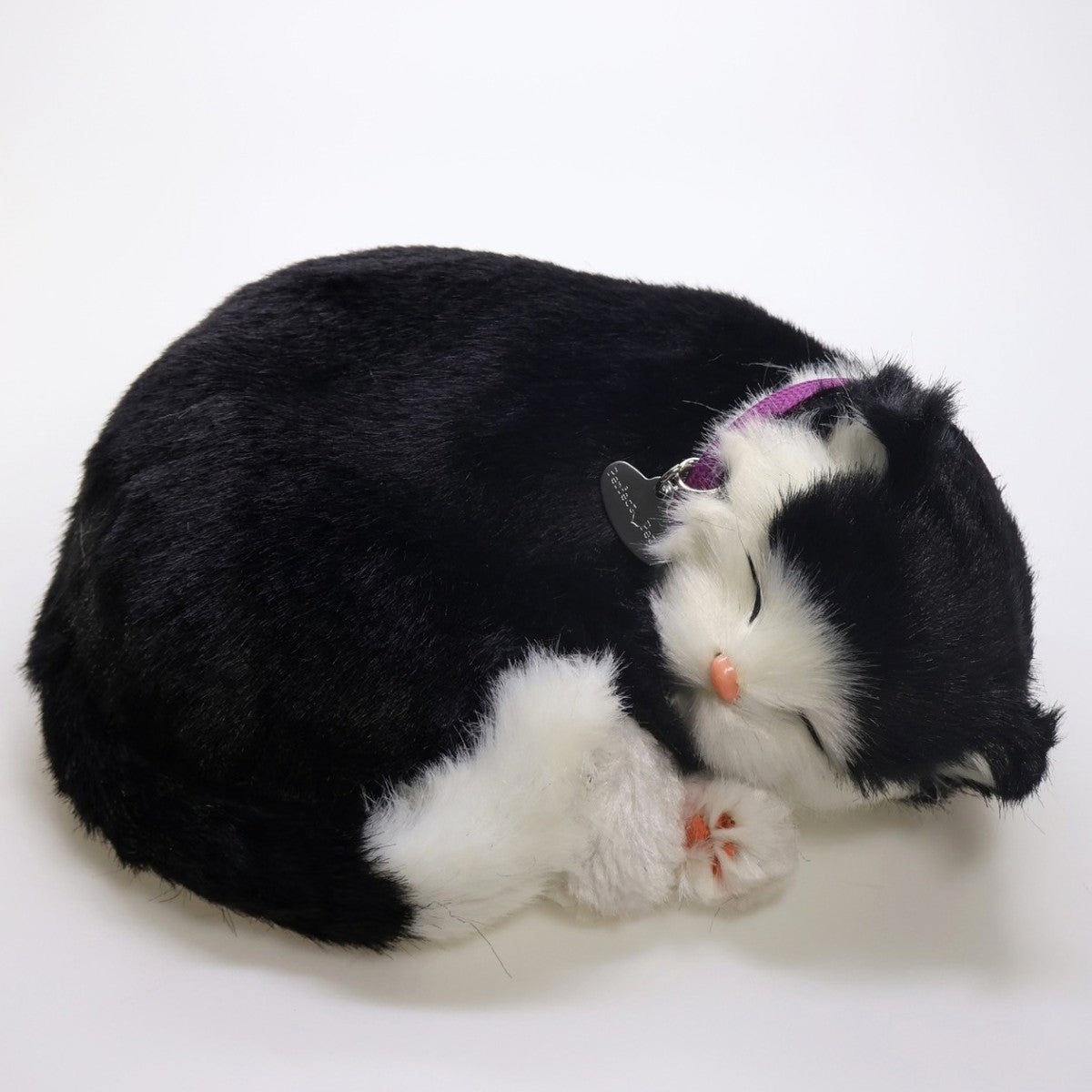 Perfect Petzzz gatinho preto e branco dormindo, com coleira rosa