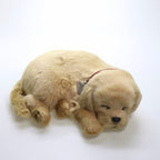 Perfect Petzzz Golden Retriever dormindo, com coleira e plaquinha