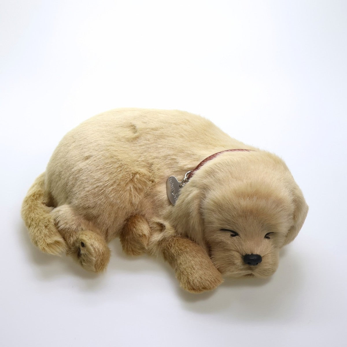 Perfect Petzzz Golden Retriever dormindo, com coleira e plaquinha