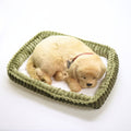 Perfect Petzzz Golden Retriever dormindo na caminha verde